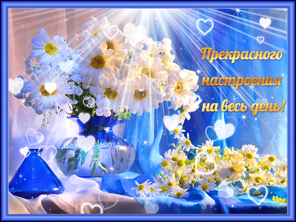 Из интернета для настроения 🫶🏻