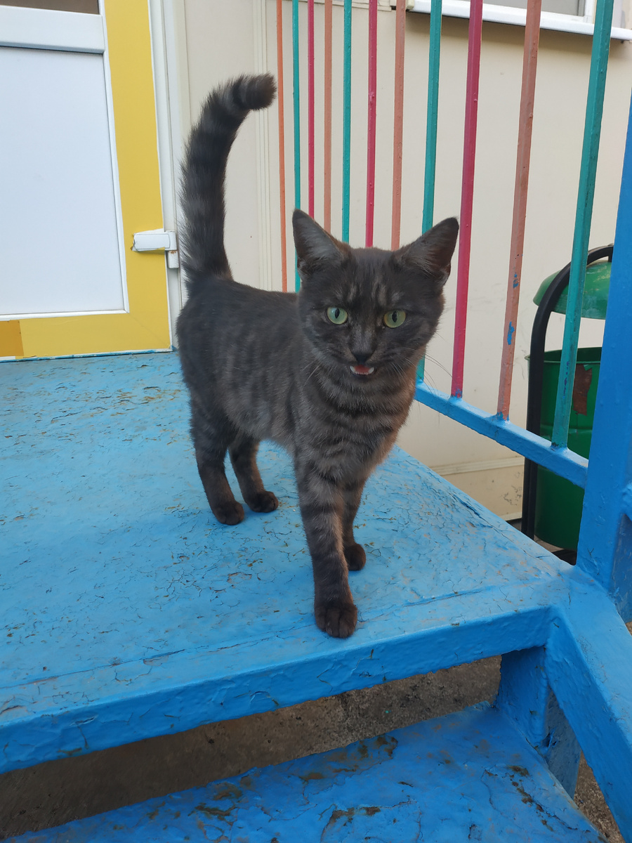 Главный герой