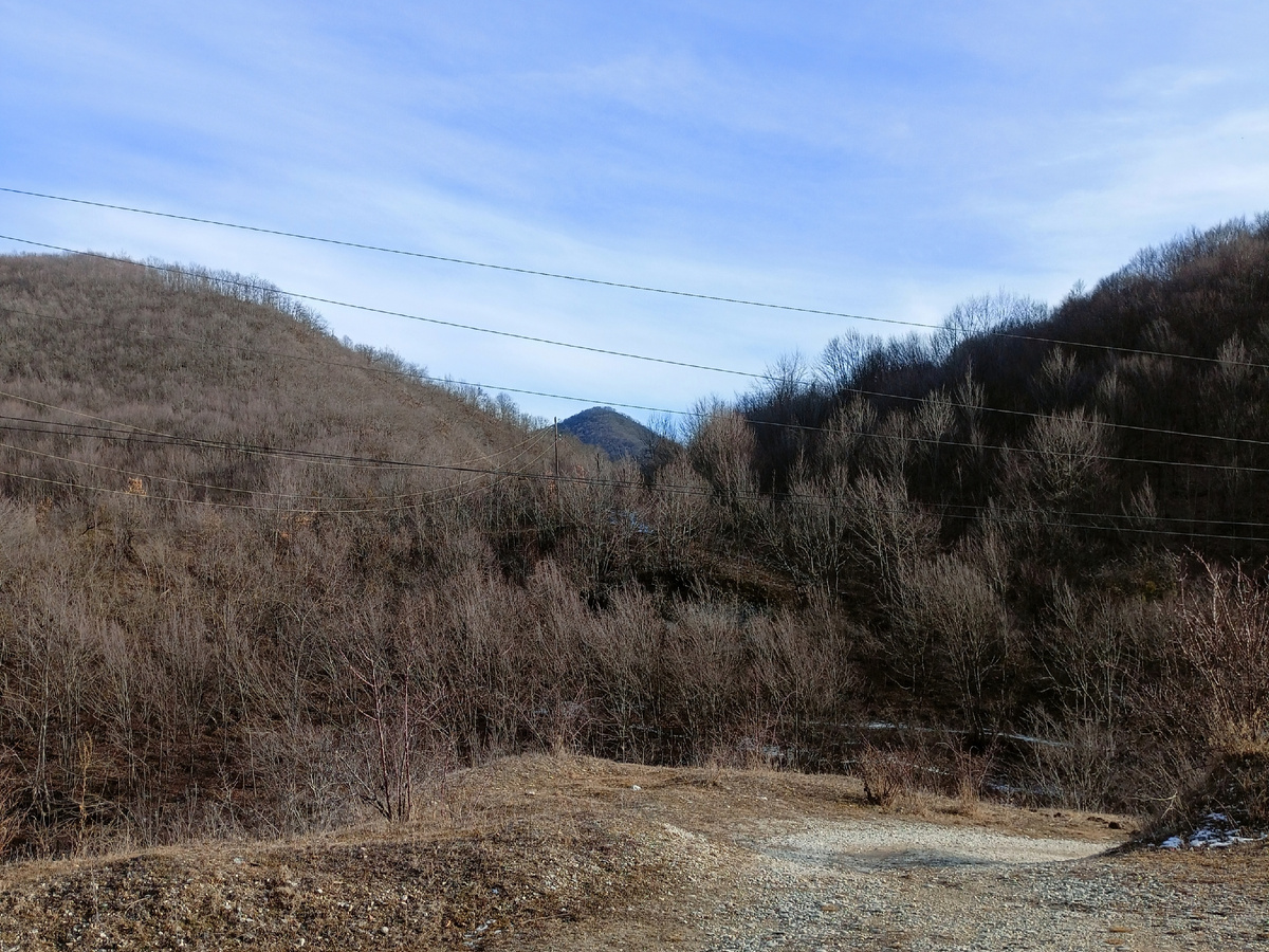 Фото автора: горный лес, электропровода в горах между сёлами, спуск-дорога к речке (Дагестан, январь 2024)