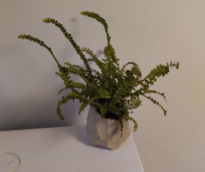 Еще один из "керамики"