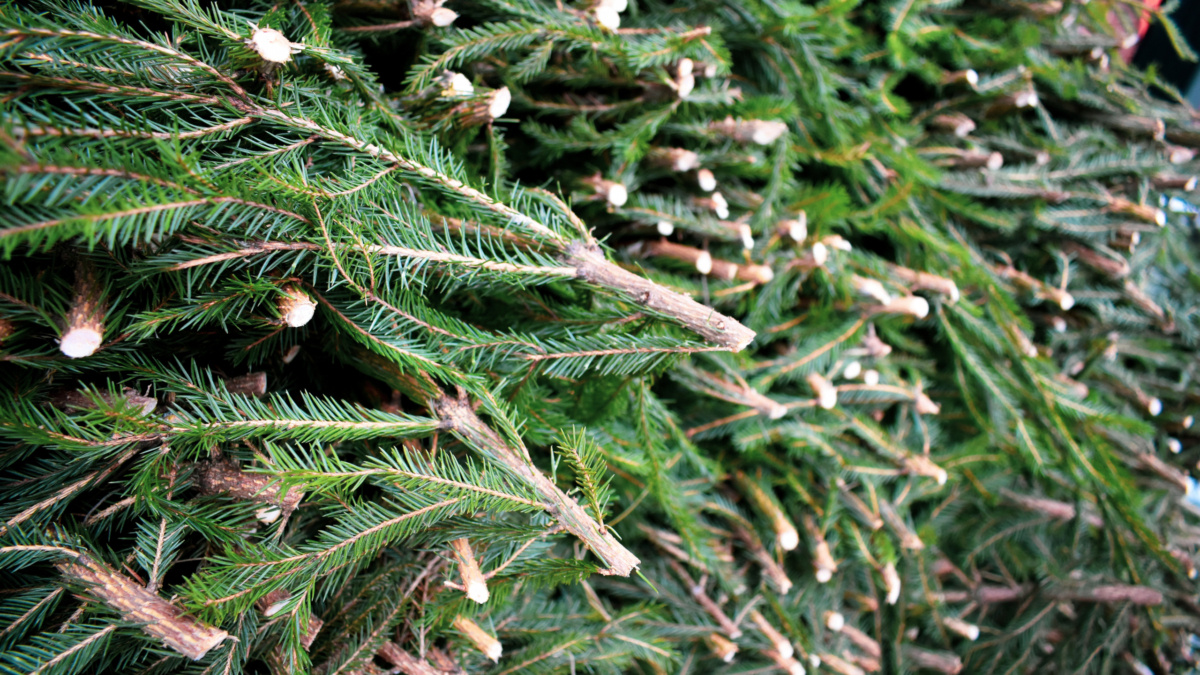 ИА «Тульская пресса»📷

