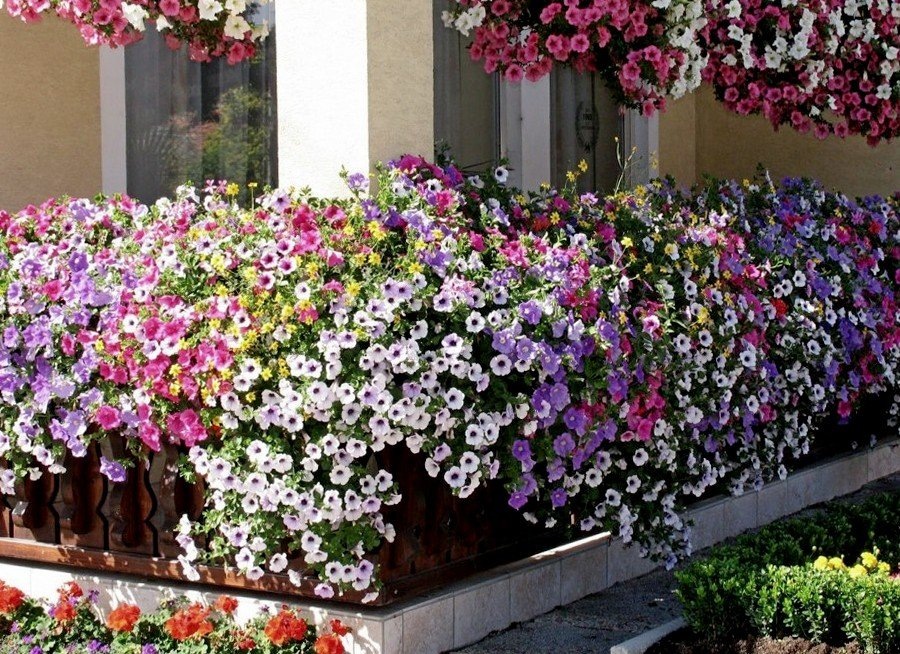 Ссылка на изображение: https://diz-cafe.com/wp-content/uploads/2019/07/post_5d32d96418982.jpg