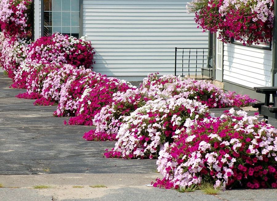 Ссылка на изображение: https://diz-cafe.com/wp-content/uploads/2019/07/post_5d3306126b1da.jpg