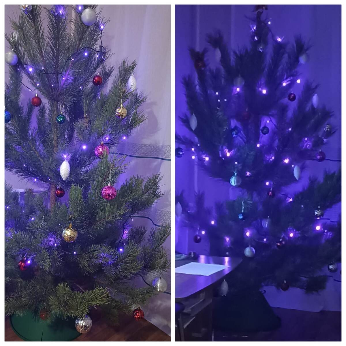 коллаж автора