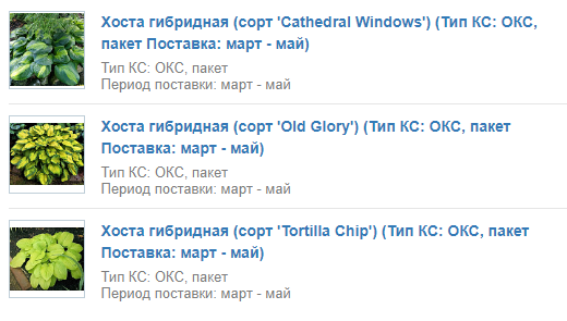В прошлом году заказала эти три хосты в Опт-Хозе.
