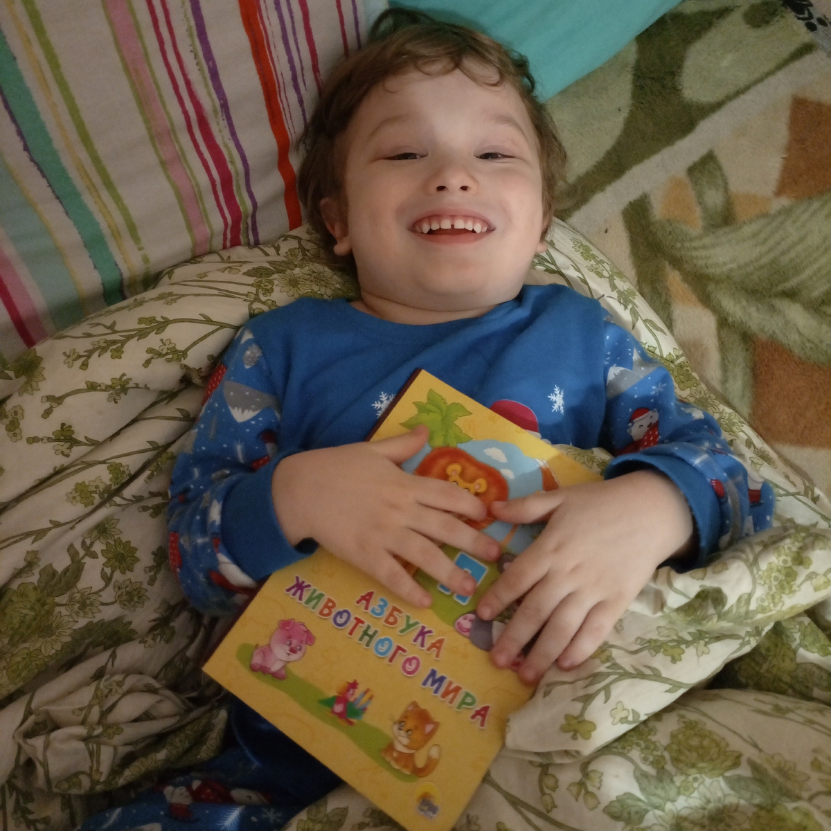 Фото сделано автором канала