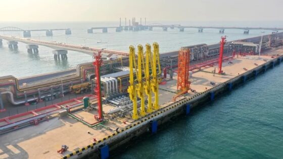     Фото: SHANDONG PORT GROUP