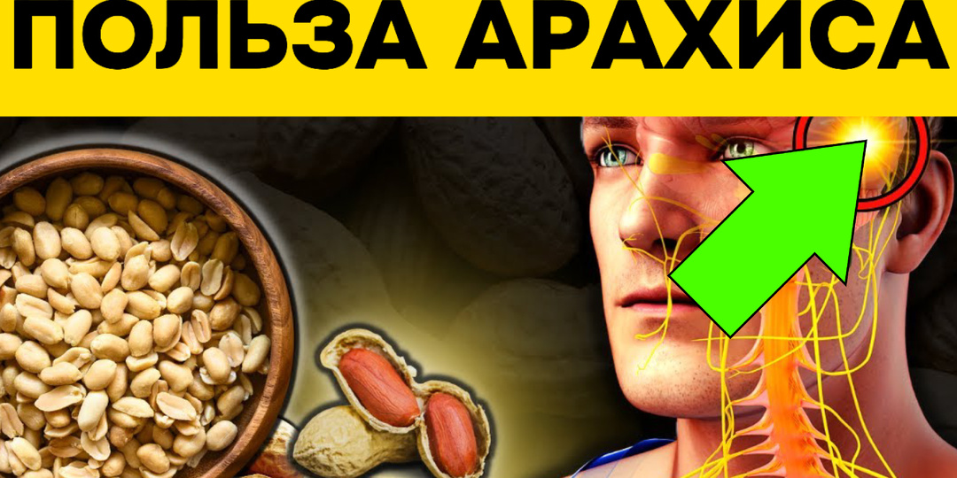 Полезен ли арахис? Вот что говорят диетологи и подтверждает наука: 7 преимуществ арахиса