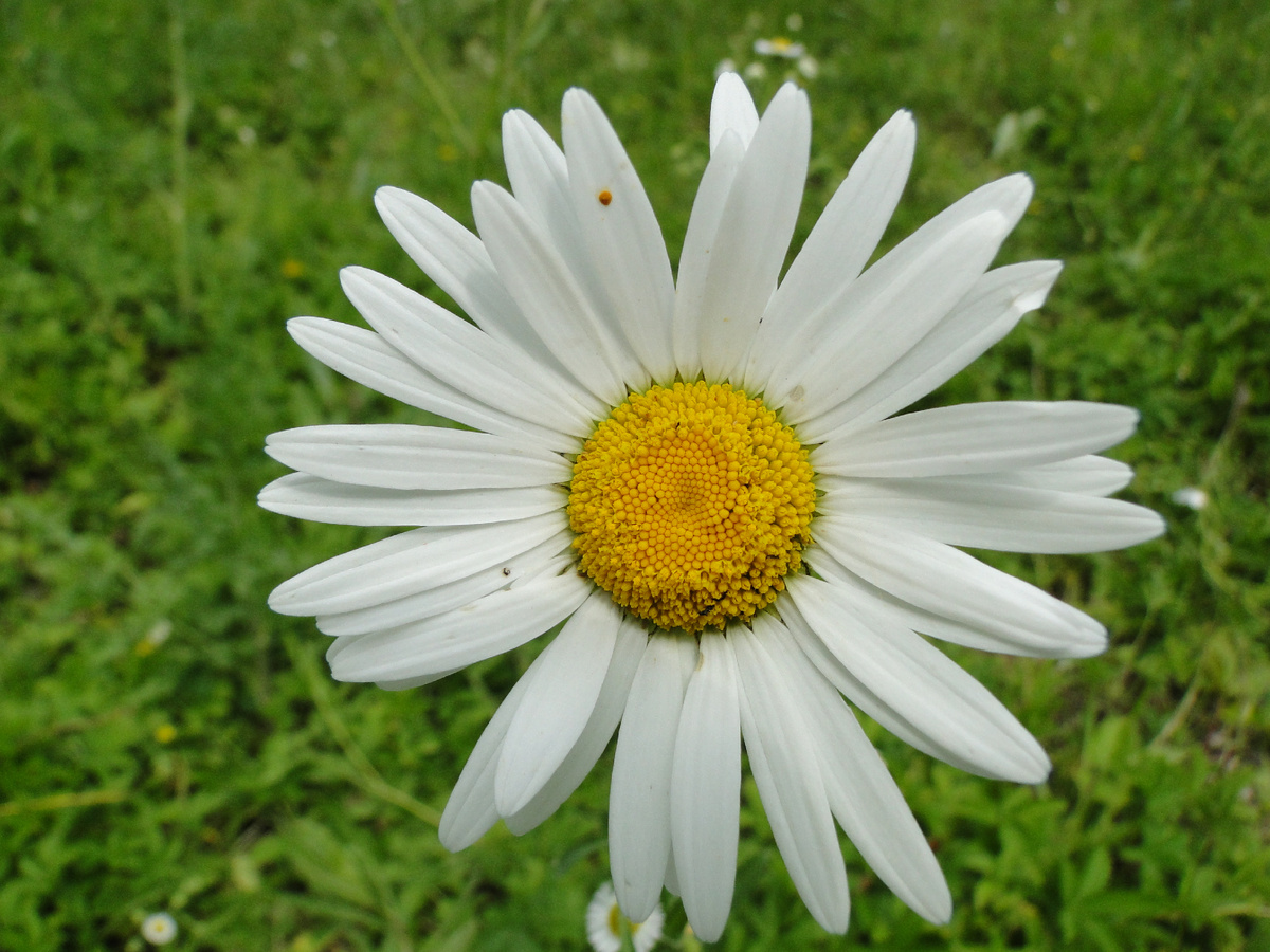 Личный архив