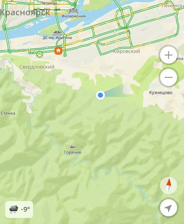    Фото: «Инстинкт» — центр охраны дикой природы / Telegram