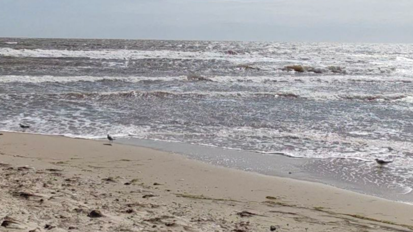    Глава ДНР Денис Пушилин