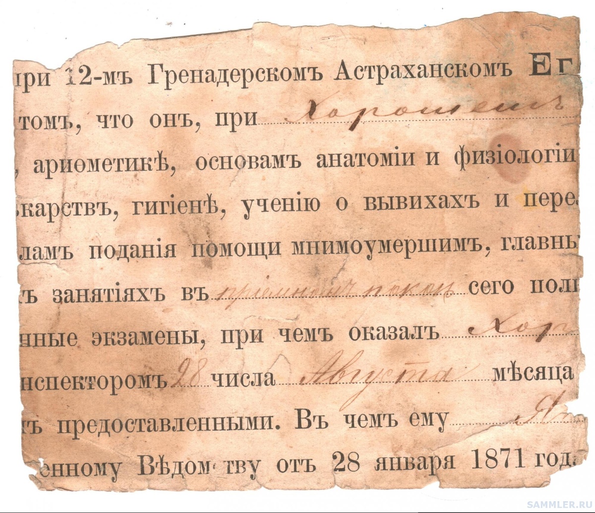 Обрывок свидетельства. Ягодка. 12-й гренадерский Астраханский ЕГО ИМПЕРАТОРСКОГО ВЫСОЧЕСТВА НАСЛЕДНИКА ЦЕСАРЕВИЧА полк. https://sammler.ru/index.php?/topic/148933-12-й-гренадерский-астраханский-полк/