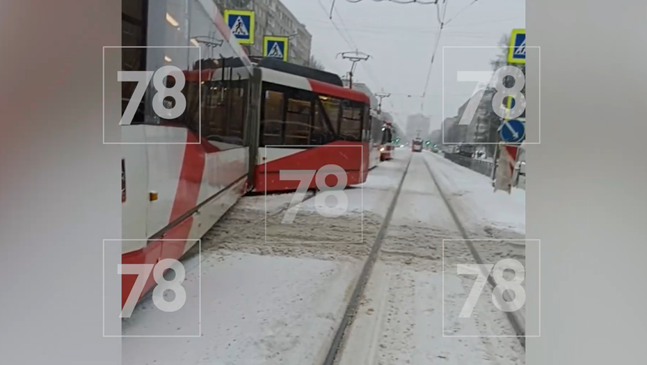    Автор фото: 78.ru