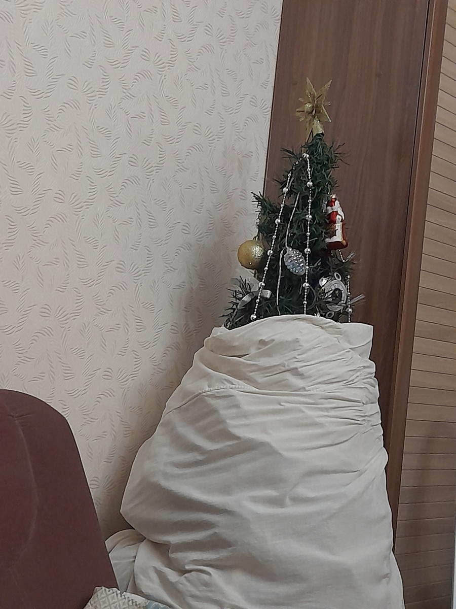 Фото автора. Ёлка в чехле