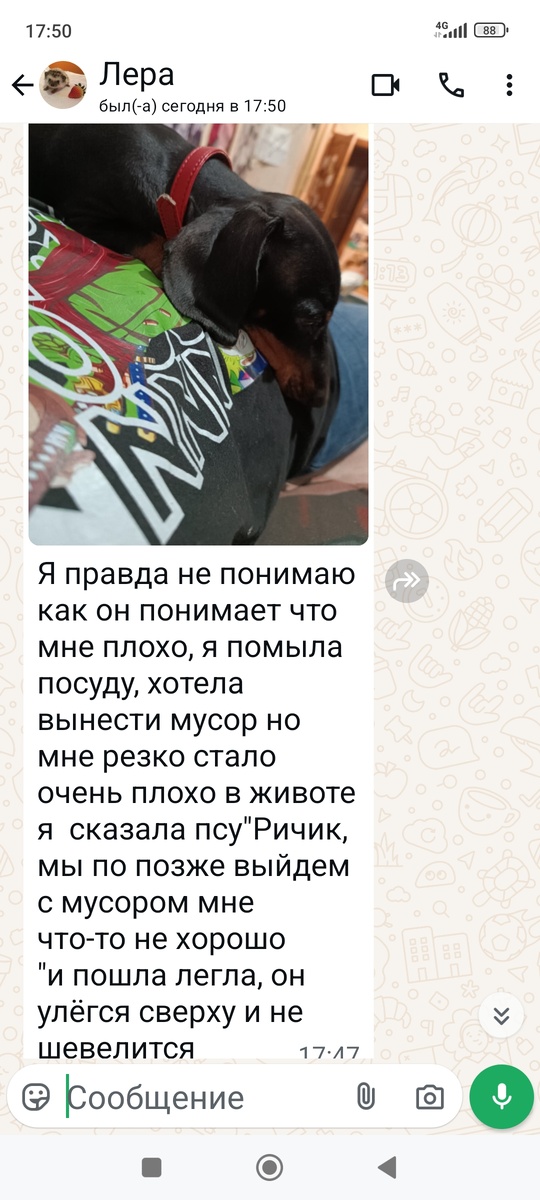 Это Ричард. Тот которого вернули. 