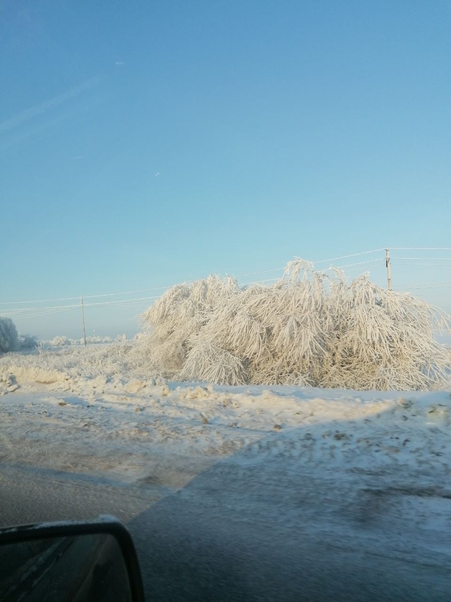 Мороз и солнце день чудесный