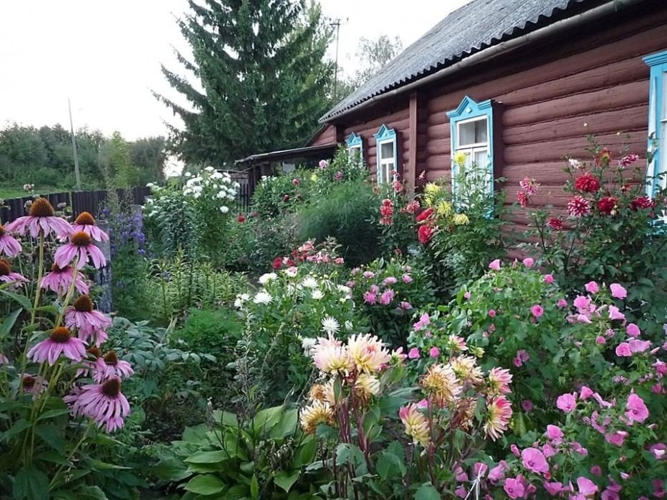 Фото взято изх интернета