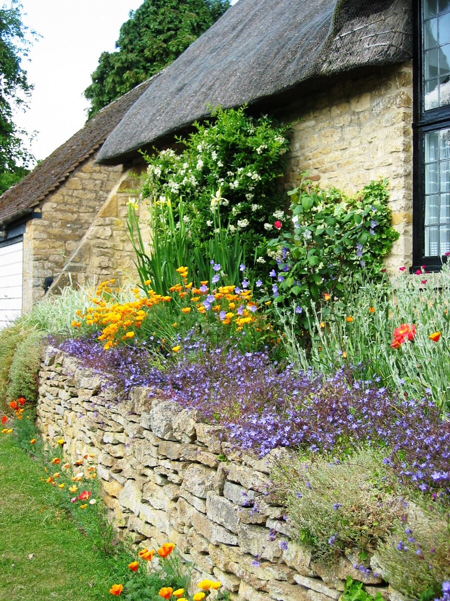 Фото взято из интернета