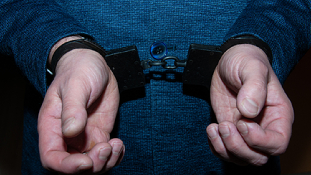    Фото: Svetlana Vozmilova/Globallookpress