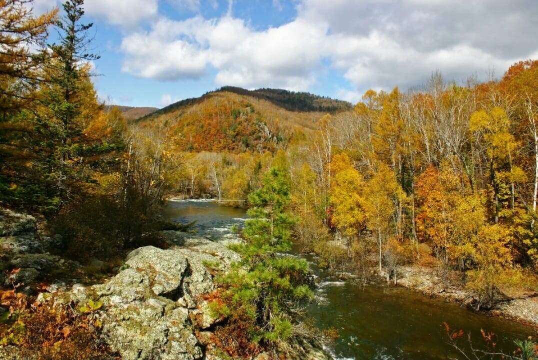 Сихотэ-Алинь - горная область на Дальнем Востоке России