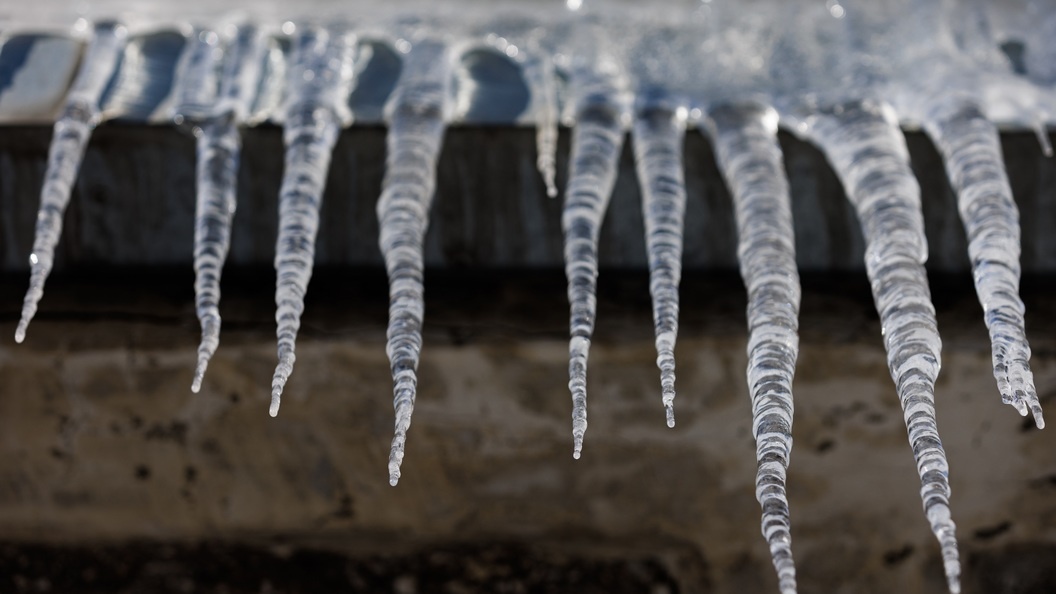    Sergey Elagin/Business Online/Globallookpress