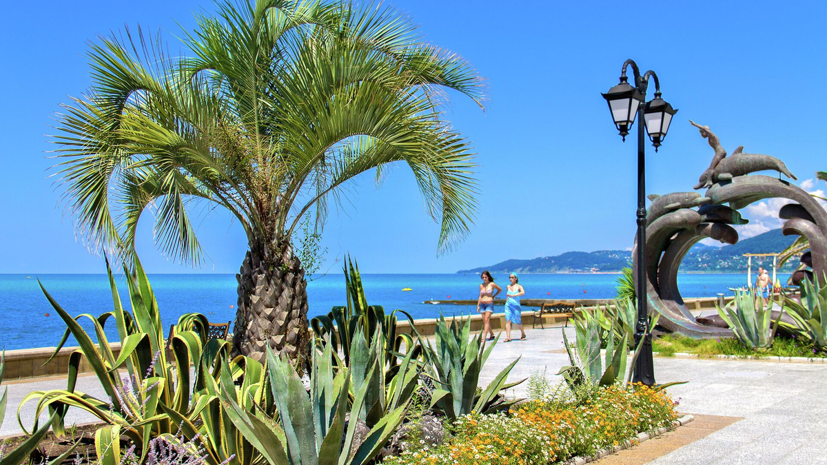 Фото из Яндекса. Спасибо автору. 