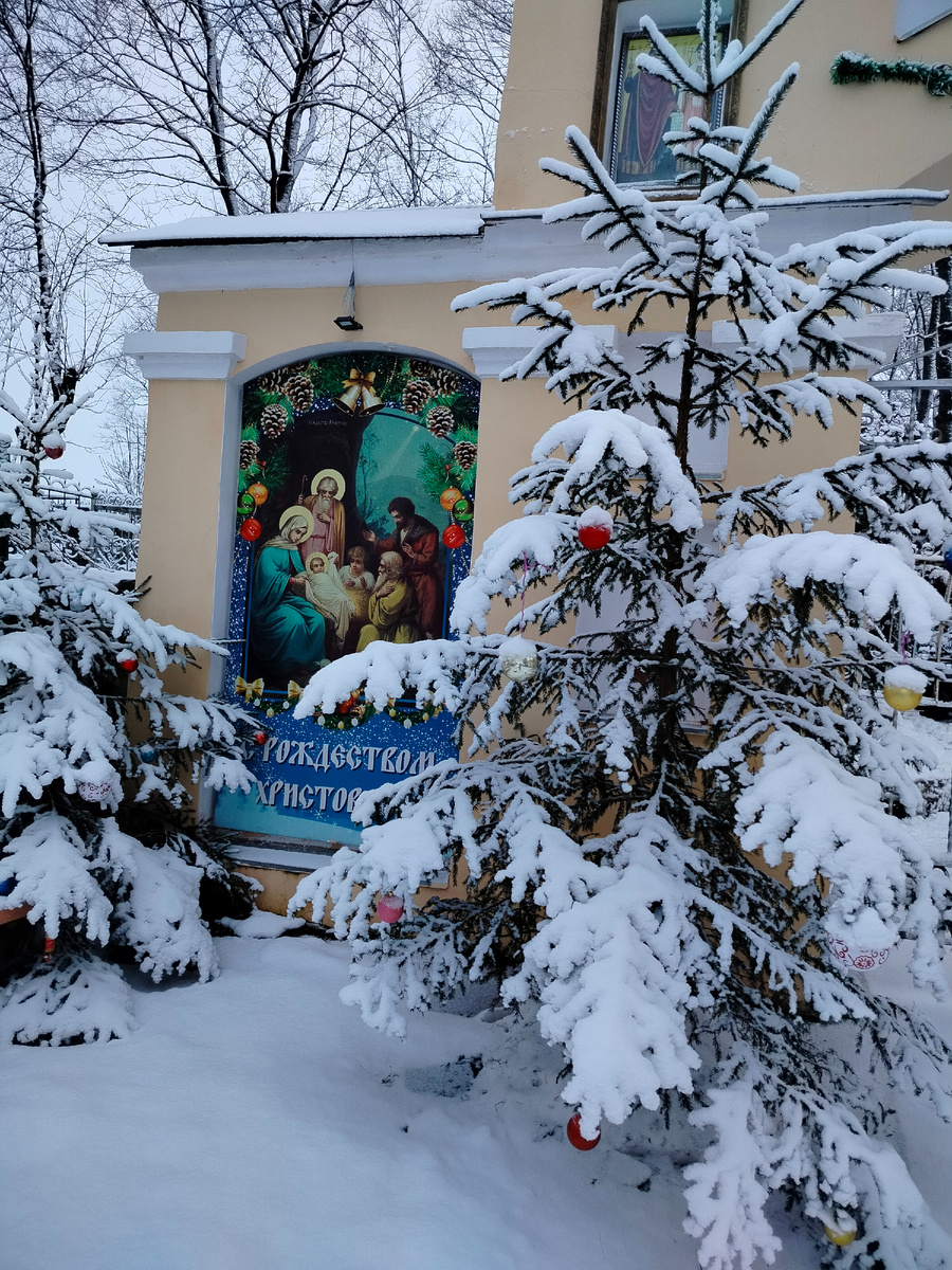 Вот так ёлочки замело у церковных ворот. Красивые такие, лучше, чем в Рождество!