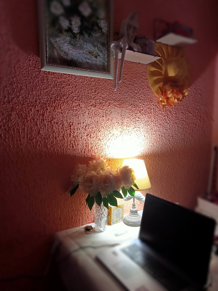 Мое рабочее место на кухне