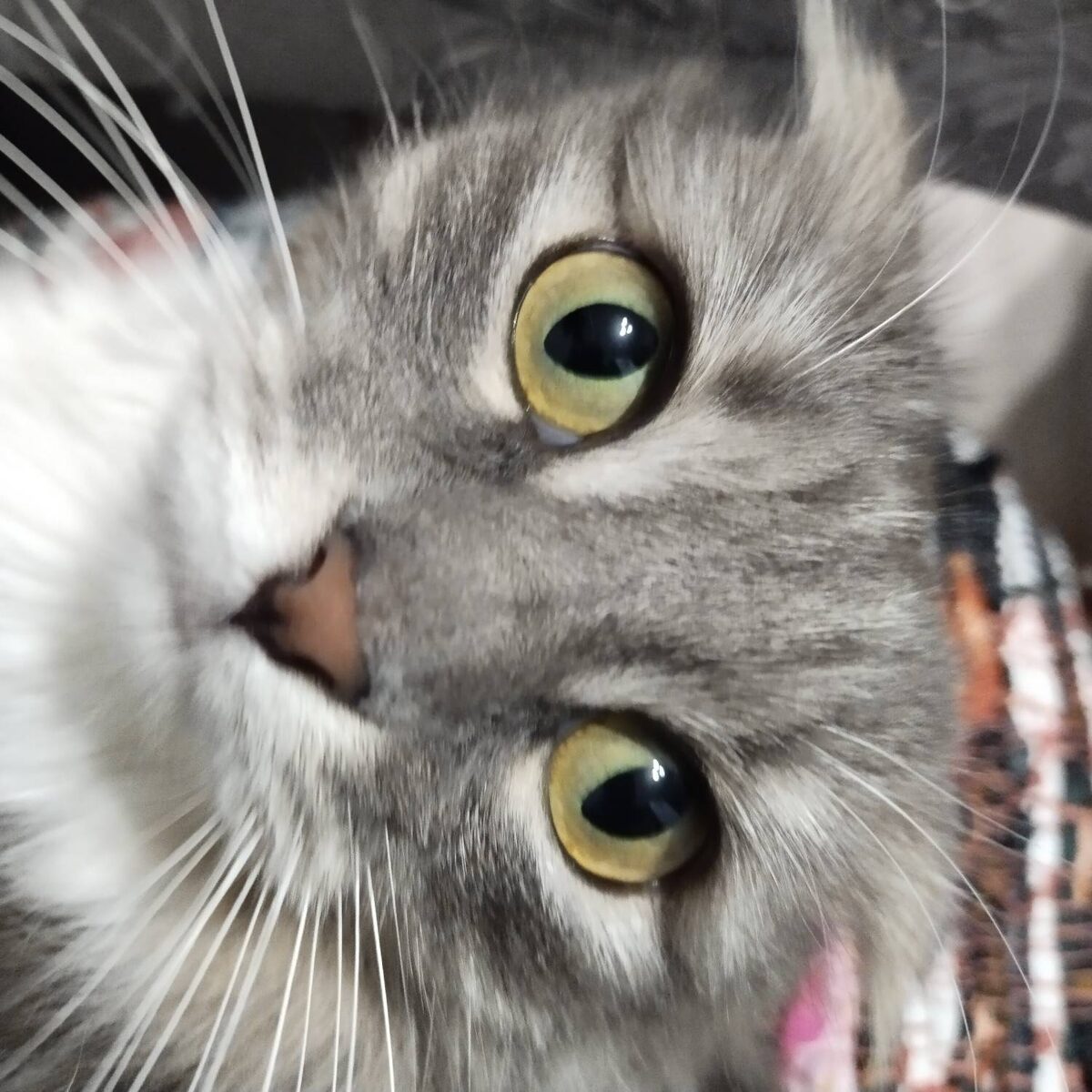 Настрадалась, маленькая