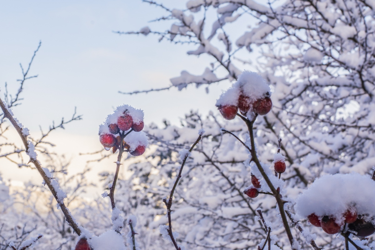Зима в крымских горах. Фото Сергея Малышева.