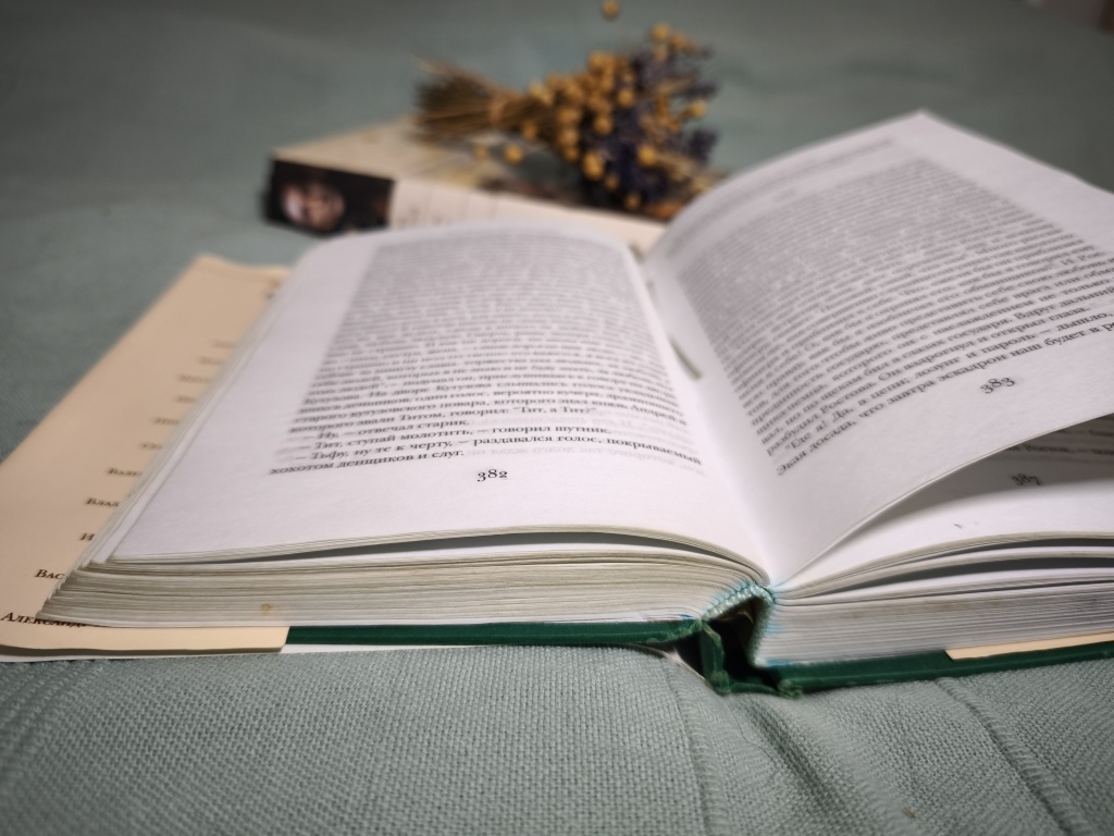 Узнали книгу?