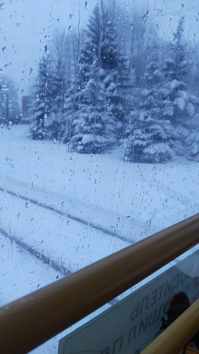 Из окна трамвая