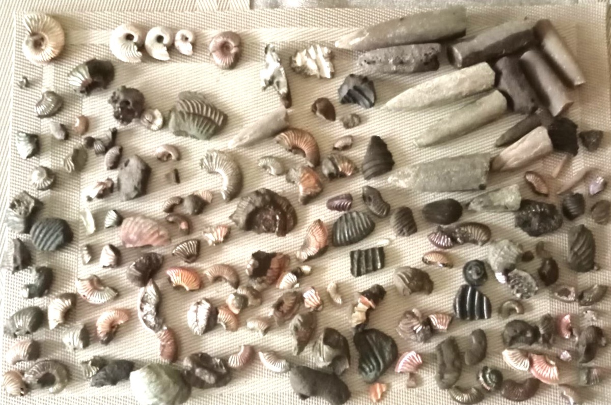 находки и фото Андрея