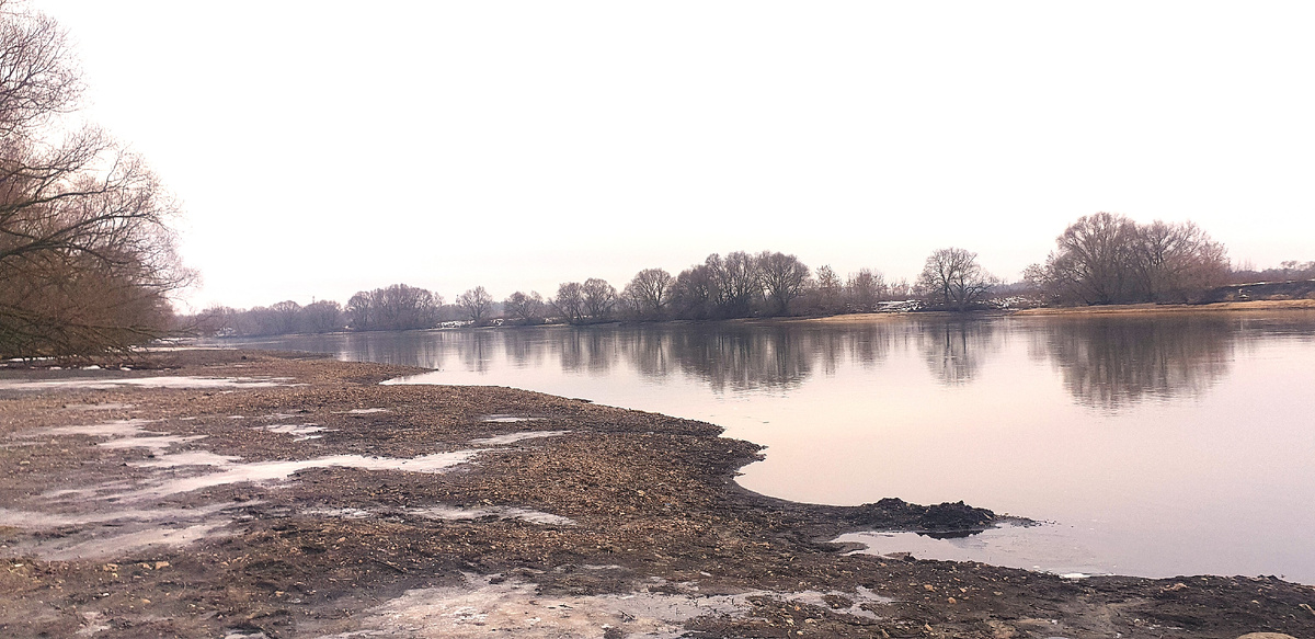 берег Москвы реки в районе села Марково 12 января 2025г. Фото автора.