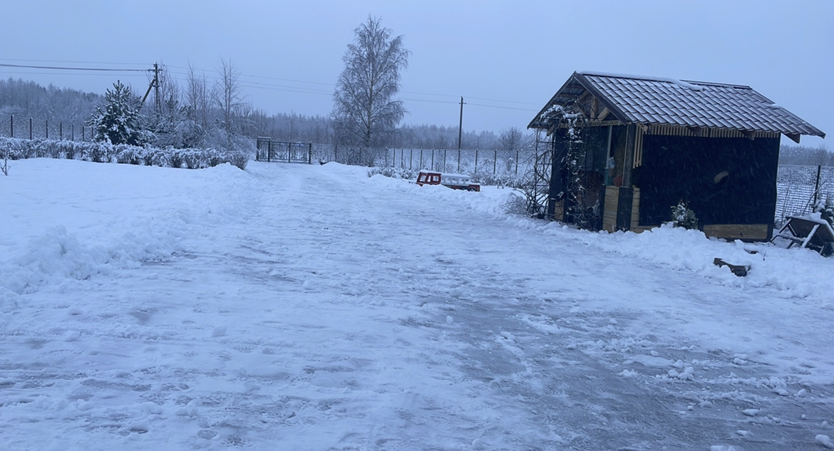 Всю ночь шел снег.