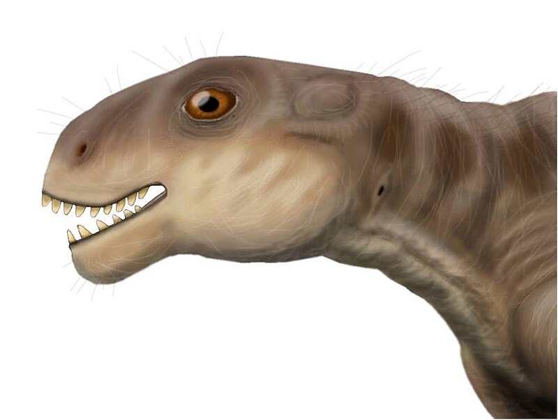 Реставрация 