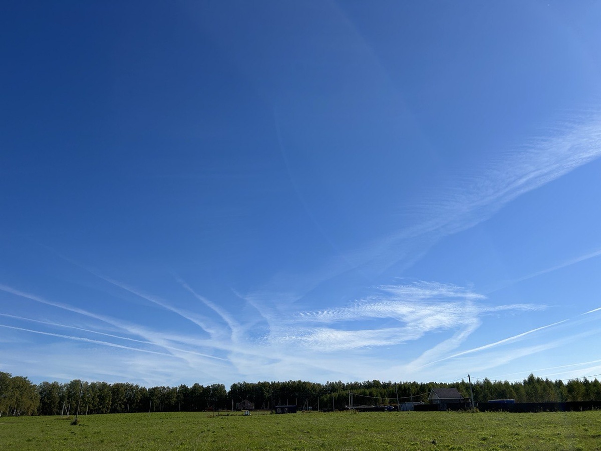 Поле! Русское поле!