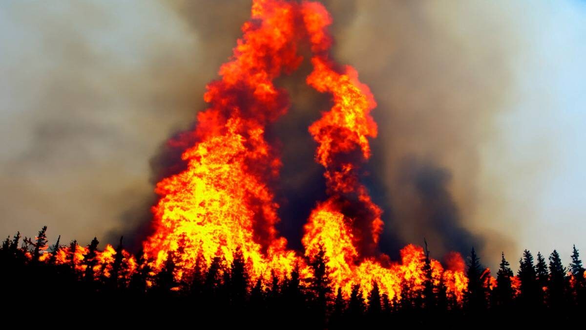    Фото: Shutterstock