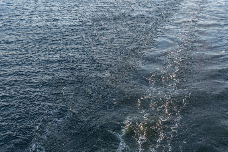    Фото: Mateus Andre/Freepik