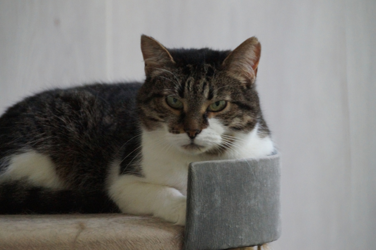 4 года во временном доме. Но мы все дождались!