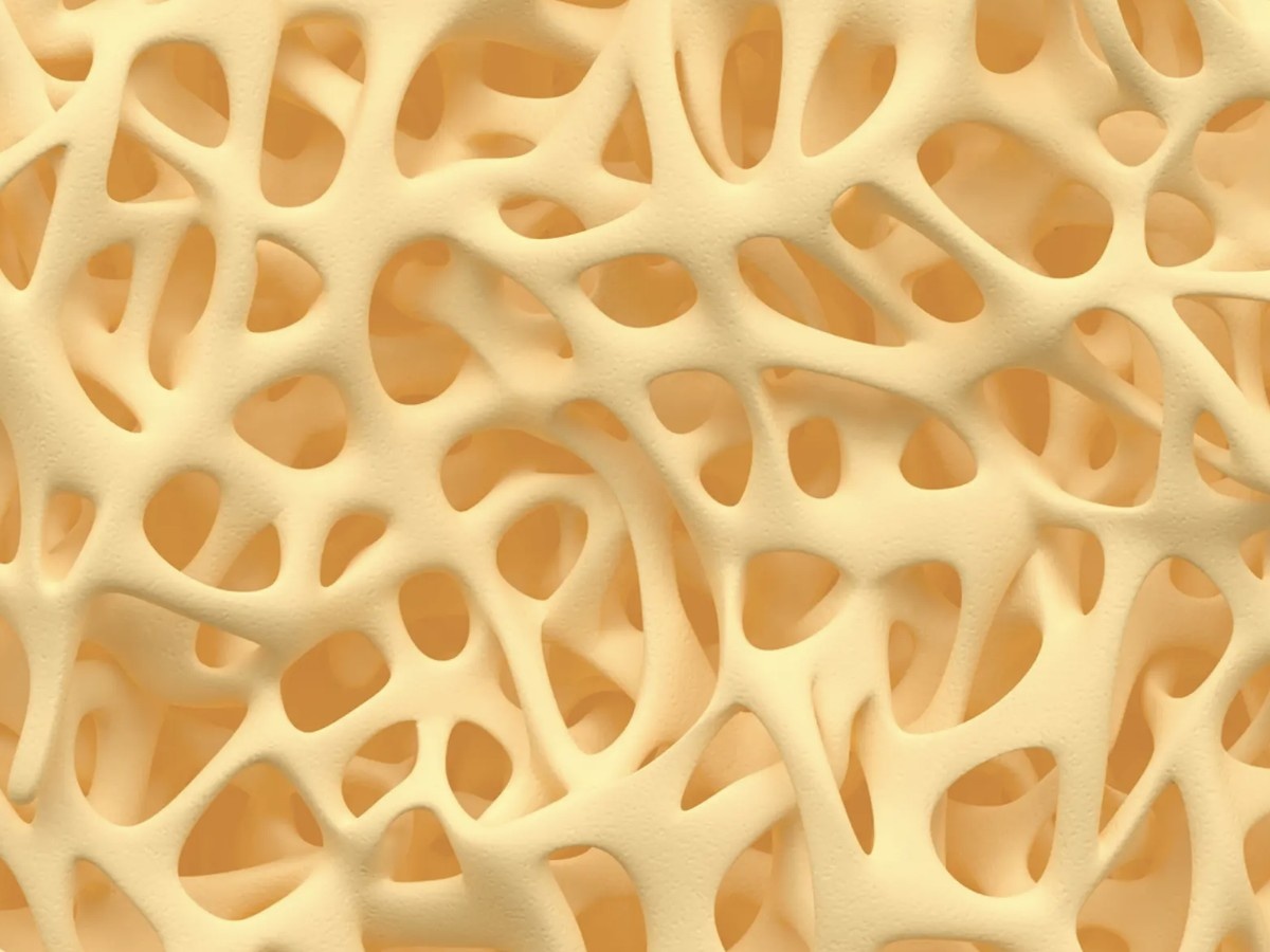    Разработан гидрогель для быстрого заживления костей