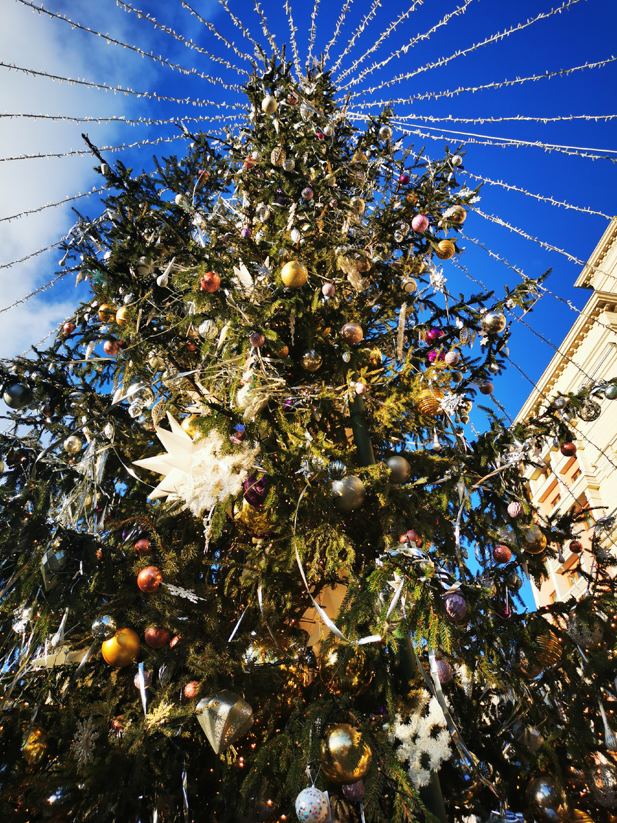 Шикарная ёлка 