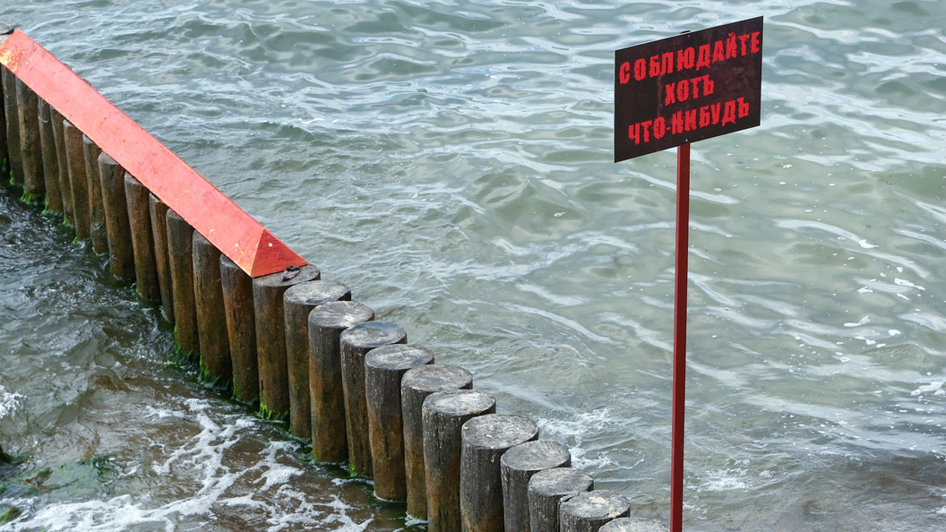    Фото: Petrov Sergey/Globallookpress