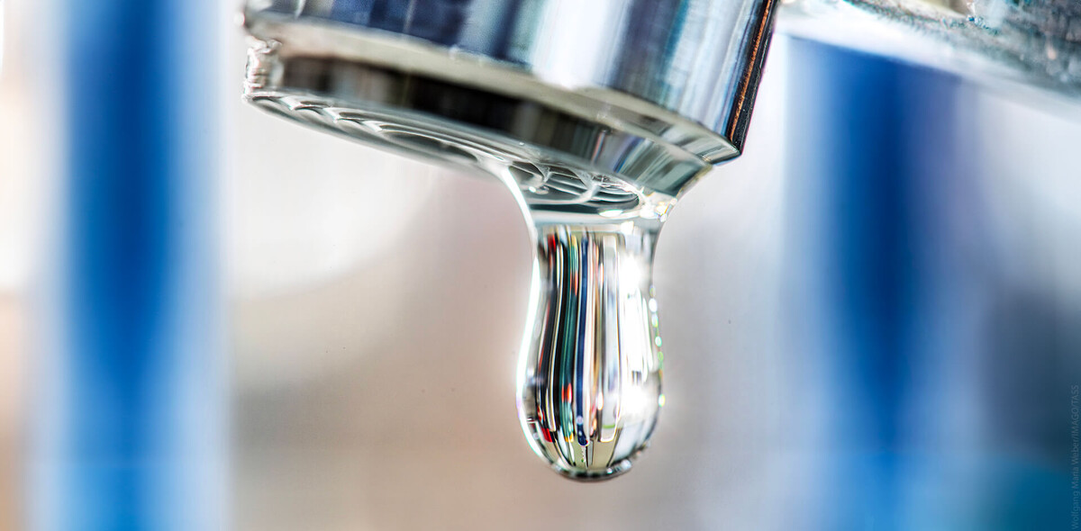 Фото: Wolfgang Maria Weber/IMAGO/TASS