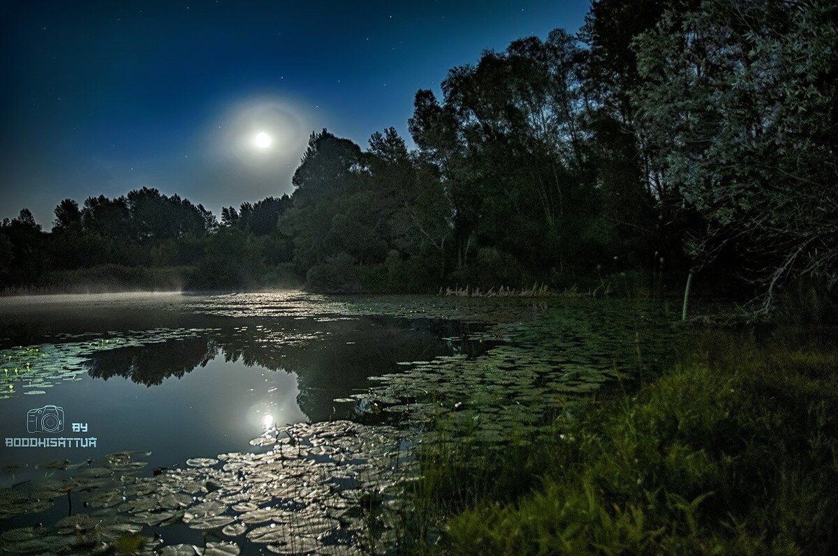 фото из интернета