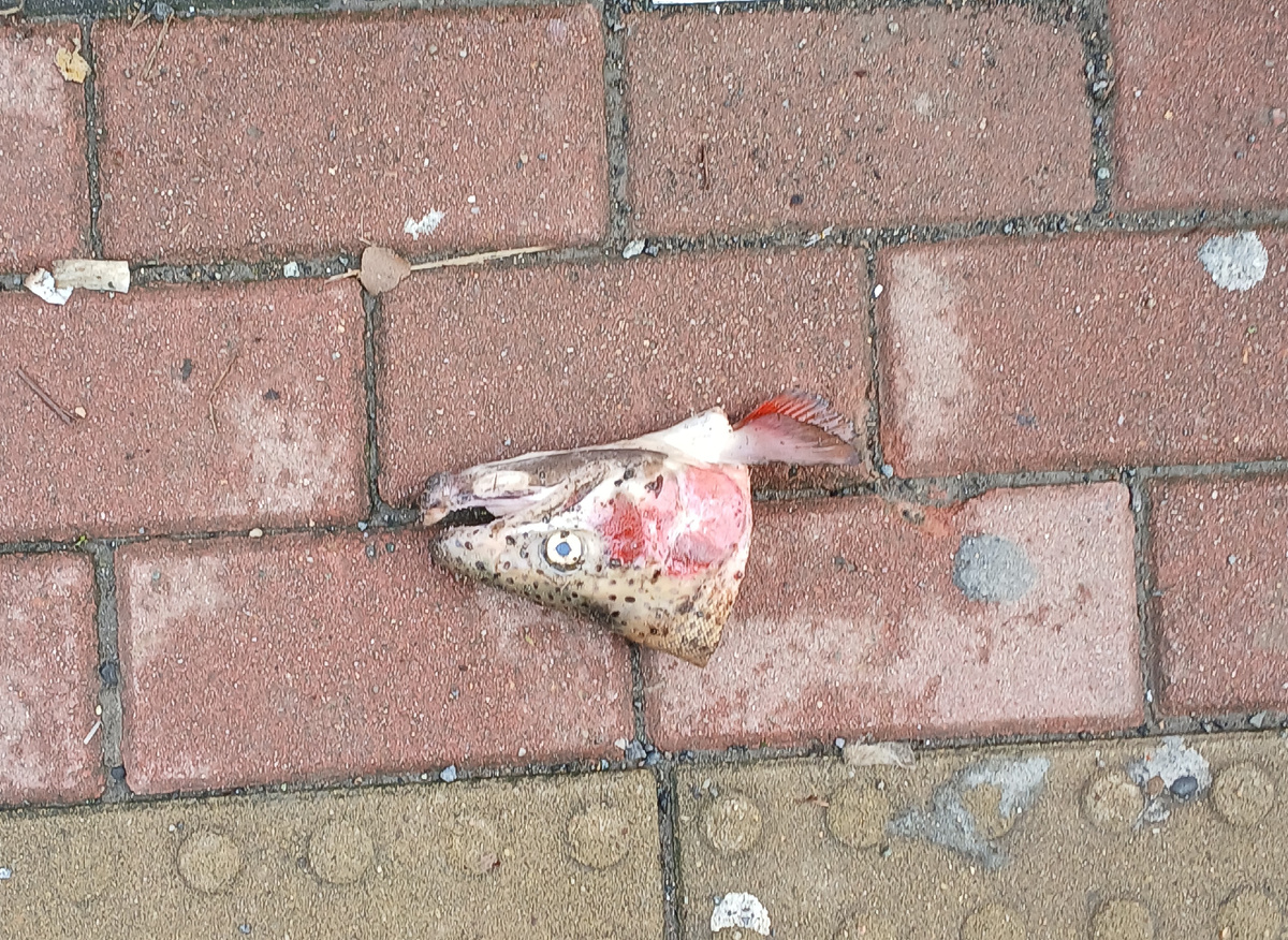 Перед новогодней ночью. Батуми. Грузия 