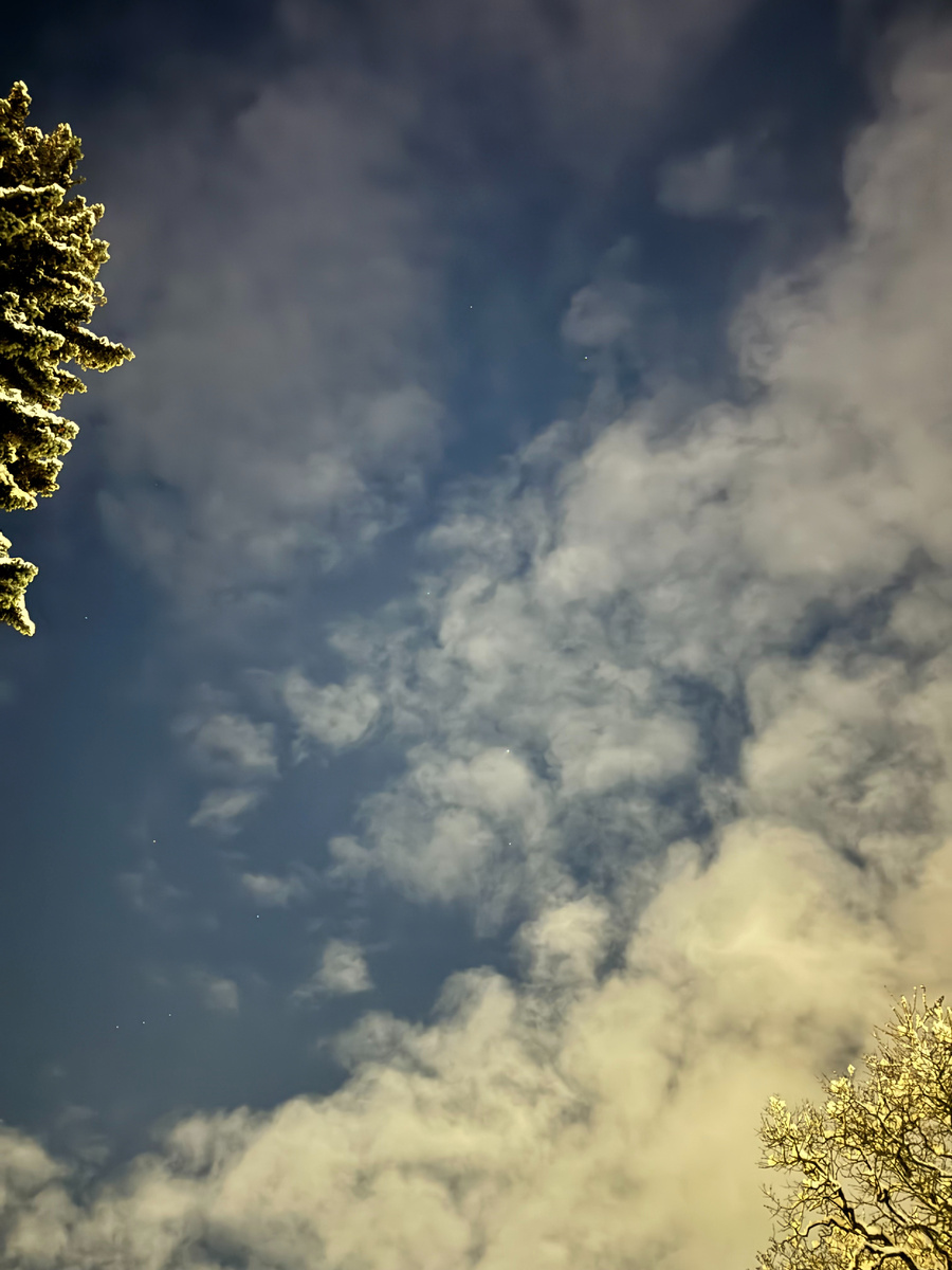 Звезды в новогоднюю ночь в Москве