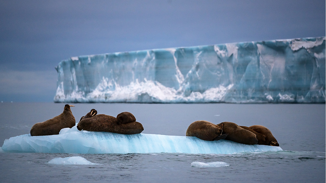    Фото: MOD Russia/via Globallookpress.com