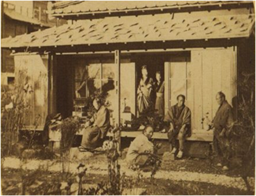 Первое фотографическое изображение бонсай. 1861 г. 