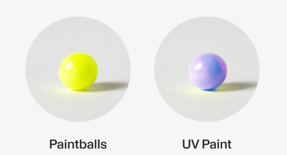 Фото:Paintcam?????  📷
